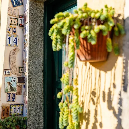In Te L'aia By Interhome Ferienhaus *